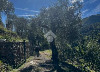 Terreno agricolo Stada Isola, Ceriana - foto 11