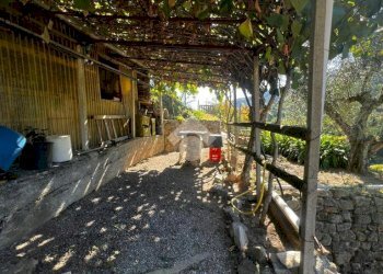 Terreno agricolo Stada Isola, Ceriana - foto 12
