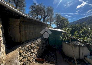 Terreno agricolo Stada Isola, Ceriana - foto 13