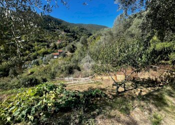 Terreno agricolo Stada Isola, Ceriana - foto 15