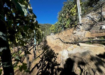 Terreno agricolo Stada Isola, Ceriana - foto 18