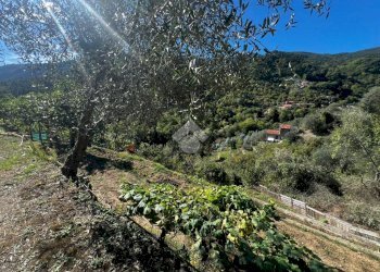 Terreno agricolo Stada Isola, Ceriana - foto 19