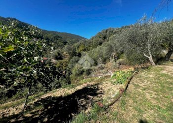 Terreno agricolo Stada Isola, Ceriana - foto 20