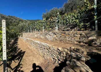 Terreno agricolo Stada Isola, Ceriana - foto 22
