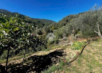 Terreno agricolo Stada Isola, Ceriana - foto 25