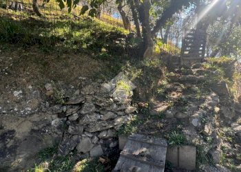 Terreno agricolo Stada Isola, Ceriana - foto 26