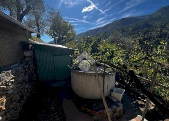 Terreno agricolo Stada Isola, Ceriana - foto 27