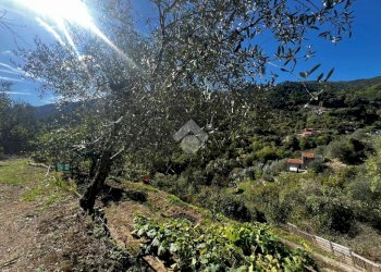 Terreno agricolo Stada Isola, Ceriana - foto 28