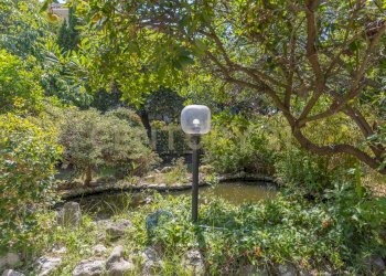 IMG_1086.JPG - Villa Corso San Francesco 159, Anzio - foto 14