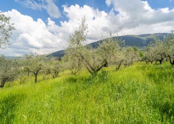 56.jpg - Villa Via Colle Sant'Angelo 36, Serrone - foto 20