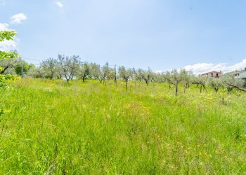 49.jpg - Villa Via Colle Sant'Angelo 36, Serrone - foto 21