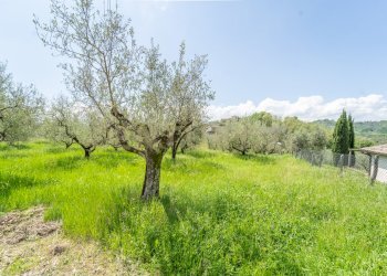 43.jpg - Villa Via Colle Sant'Angelo 36, Serrone - foto 25