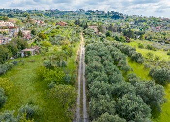 14.jpg - Casa indipendente Via di Grotte Maria 67, Frascati - foto 14