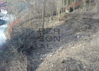 Foto 1 - Terreno edificabile Borgo Valsugana - foto 1