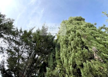 Foto 57 - Villa a Schiera Rignano Flaminio - foto 57