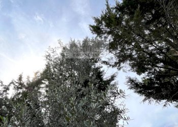 Foto 58 - Villa a Schiera Rignano Flaminio - foto 58