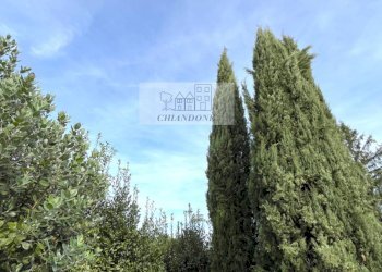 Foto 63 - Villa a Schiera Rignano Flaminio - foto 63