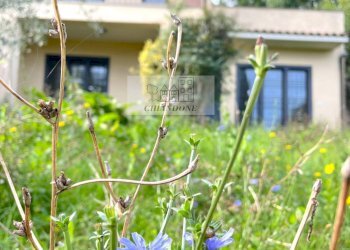 Foto 65 - Villa a Schiera Rignano Flaminio - foto 65