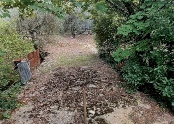 Foto 4 - Terreno agricolo Valle Castagna, Sonnino - foto 4