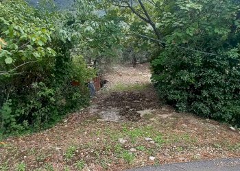 Foto 5 - Terreno agricolo Valle Castagna, Sonnino - foto 5