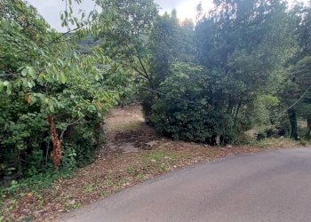 Foto 6 - Terreno agricolo Valle Castagna, Sonnino - foto 6