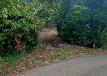 Foto 7 - Terreno agricolo Valle Castagna, Sonnino - foto 7