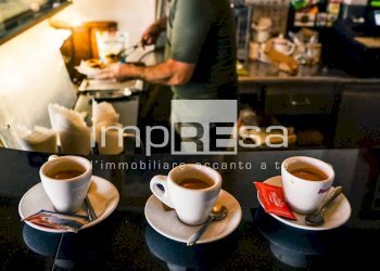 BAR - Cafeteria - Cold Bar via Guglielmo Marconì, Quarto d'Altino - photo 3