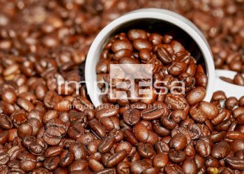 BAR - Cafeteria - Cold Bar via Guglielmo Marconì, Quarto d'Altino - photo 6