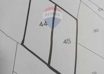 Pianta 2D - Terreno agricolo strada provinciale 10
 
Snc, Gela - foto 3