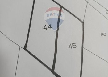 Pianta 2D - Terreno agricolo strada provinciale 10
 
Snc, Gela - foto 5