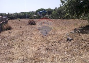 Non correlato - Agricultural land Via Giovanni Grasso
 
snc, Pedara - photo 12