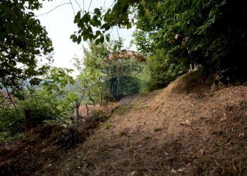 Giardino - Appartamento via Monmartino
 
6, Pallare - foto 55