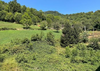 vista - Quadrilocale Via Rafel, Frabosa Sottana - foto 18