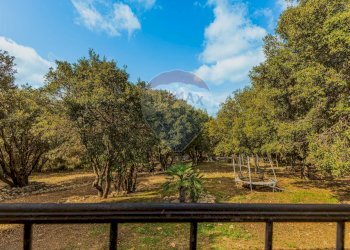 Giardino - Villa Str. Vicinale Logulentu Badde Tolta
 
snc, Sennori - foto 16