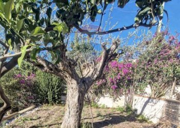 Giardino - Villa contrada Sant onofrio viale degli oleandri, Trabia - foto 43