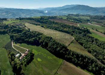 Foto 27 - Rustico Umbertide - foto 27