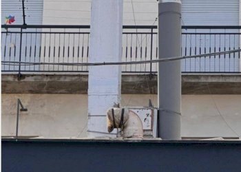 Foto 3 - Commercial Activity Via ferrantelli
 
19, Palermo - photo 3