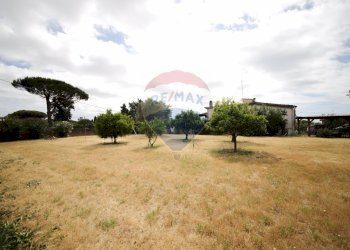 Foto 6 - Casa indipendente Nettuno - foto 6