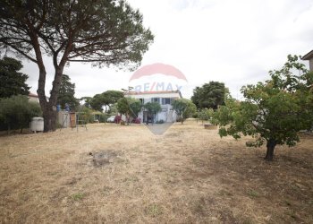 Foto 19 - Casa indipendente Nettuno - foto 19