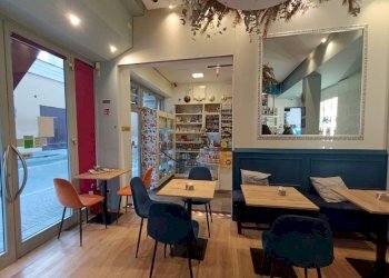 Interno non residenziale - Bar Tavola Calda - Fredda Bologna (zona Centro Storico) - foto 3