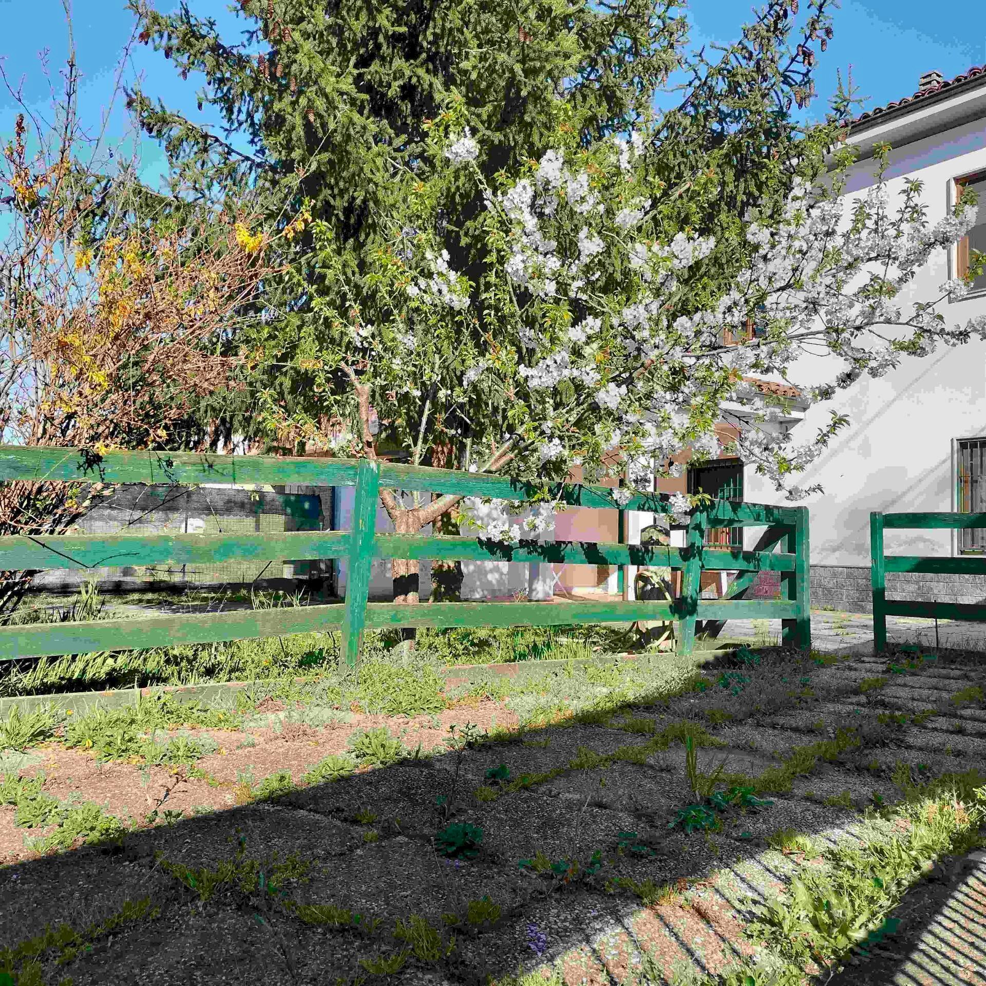 Foto 3 - Casa indipendente strada novi
11, Alessandria - foto 3