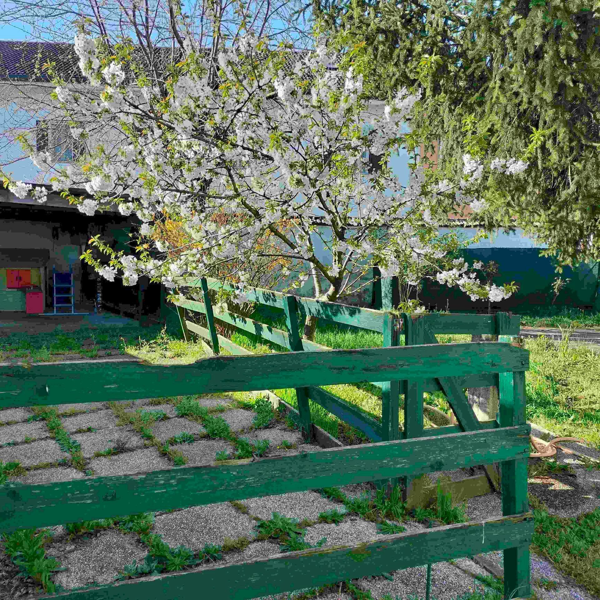 Foto 2 - Casa indipendente strada novi
11, Alessandria - foto 2