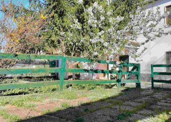 Foto 3 - Casa indipendente strada novi
 
11, Alessandria - foto 3