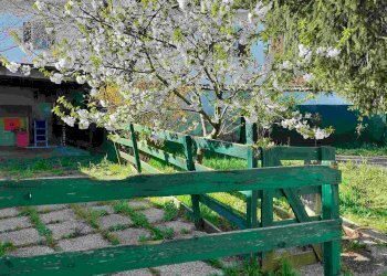 Foto 2 - Casa indipendente strada novi
 
11, Alessandria - foto 2