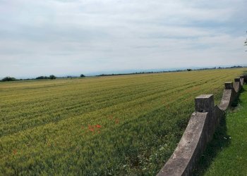 Foto 32 - Villa via di mandrogne tortona, Alessandria - foto 32