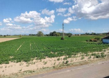 Foto 20 - Villa via dopolavoro, Alluvioni Piovera - foto 19