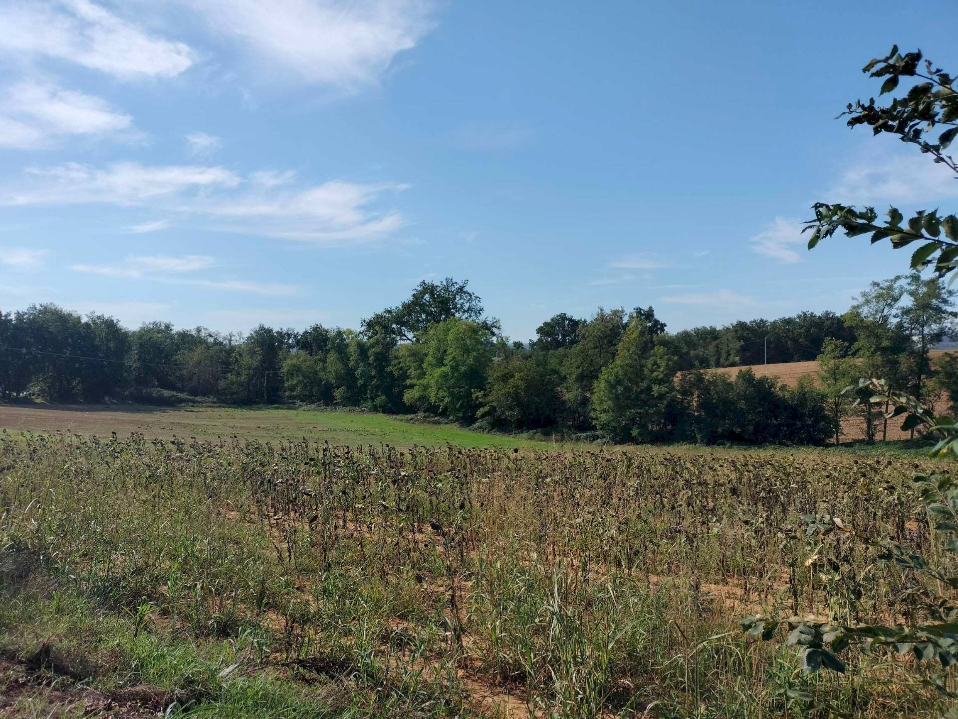 Foto 3 - Casa indipendente strada comunale della boarina
 
72/b, Quattordio - foto 3