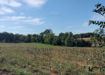 Foto 3 - Casa indipendente strada comunale della boarina
 
72/b, Quattordio - foto 3