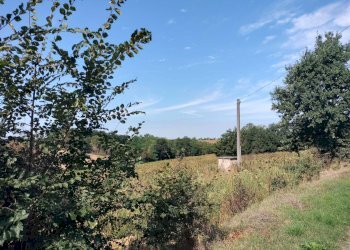 Foto 5 - Casa indipendente strada comunale della boarina
 
72/b, Quattordio - foto 5