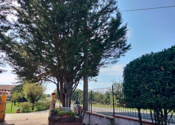 Foto 8 - Casa indipendente strada comunale della boarina
 
72/b, Quattordio - foto 8